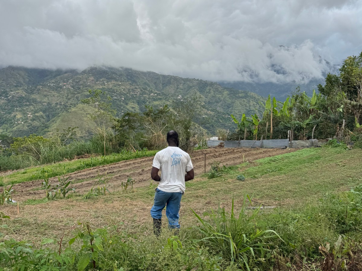 What Persists: A Visit to Content Gap After&nbsp;Melissa