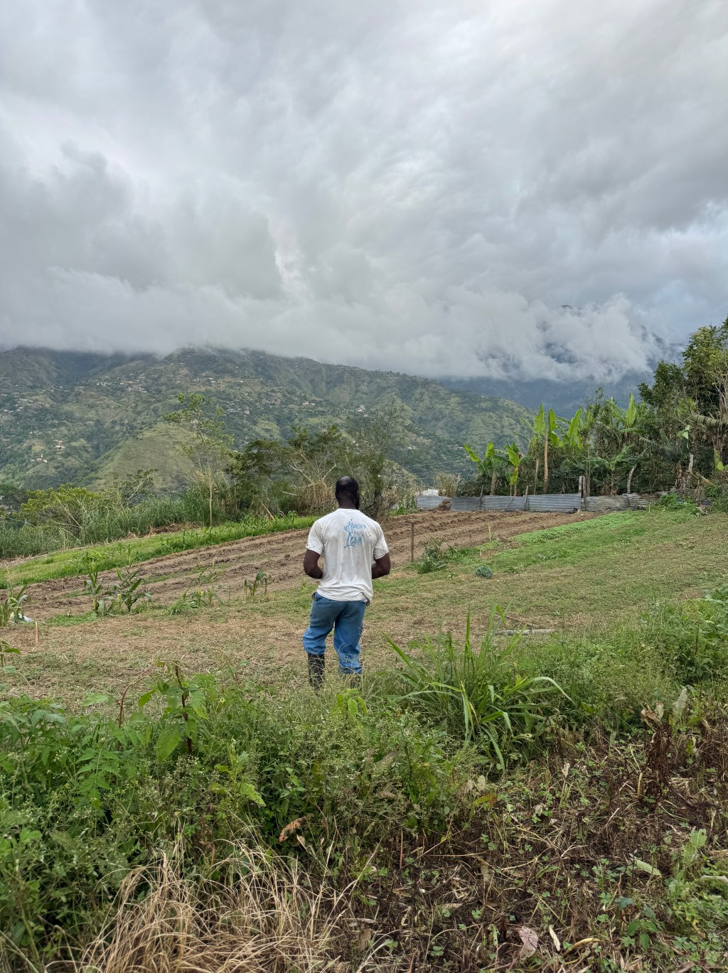 What Persists: A Visit to Content Gap After&nbsp;Melissa